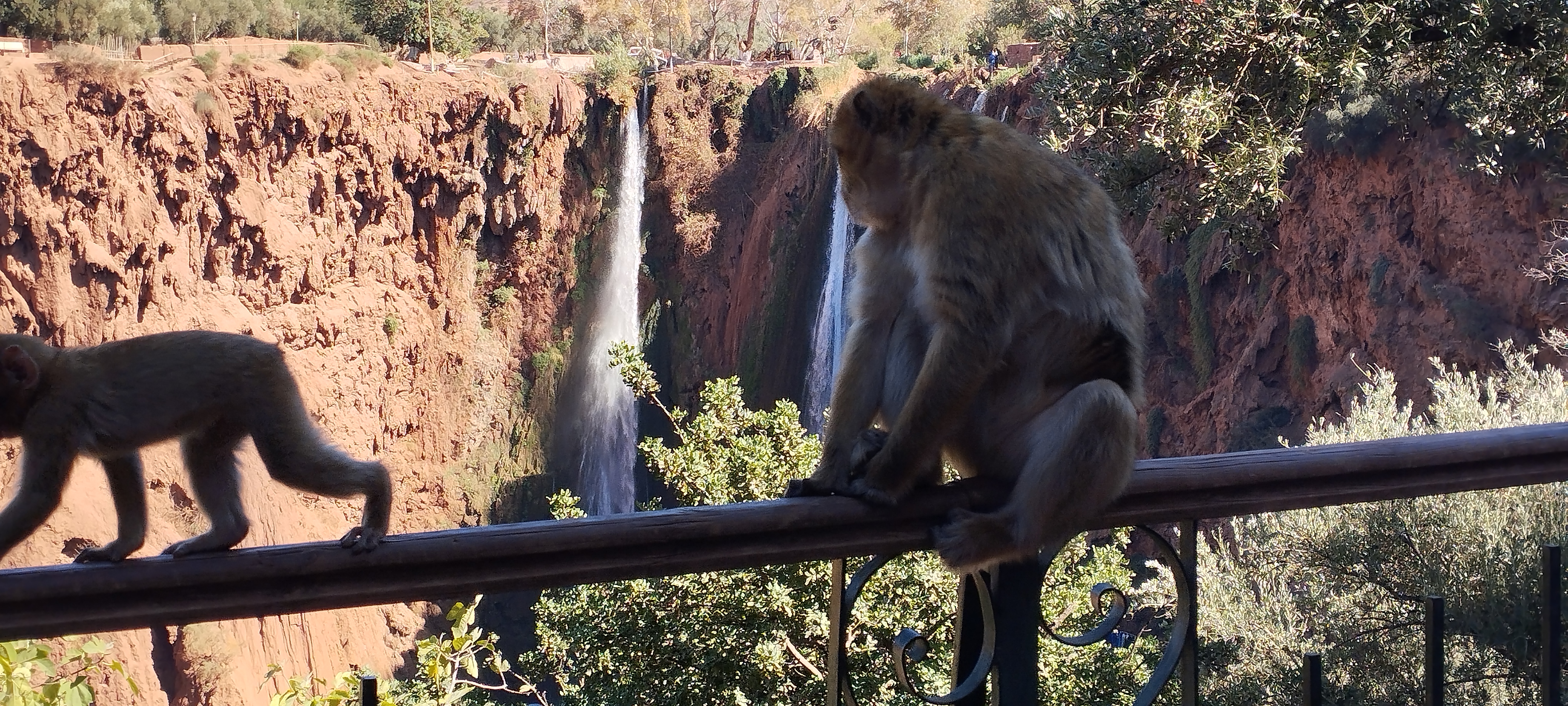 Ouzoud waterfall from Marrakech